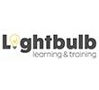 Lightbulb VLE